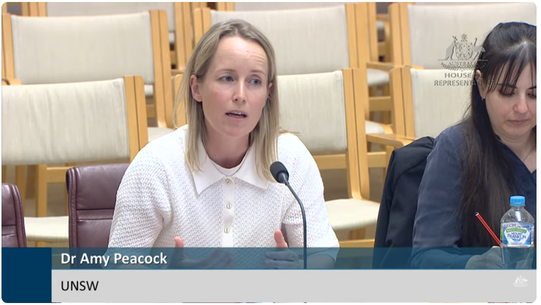 Dr Amy Peacock from NDARC at UNSW speaking at parliament house inquiry