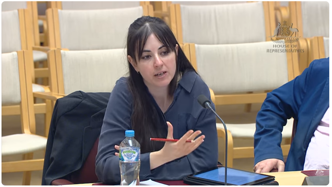 Image of Dr Michala Kowalski speaking at parliamentary inquiry
