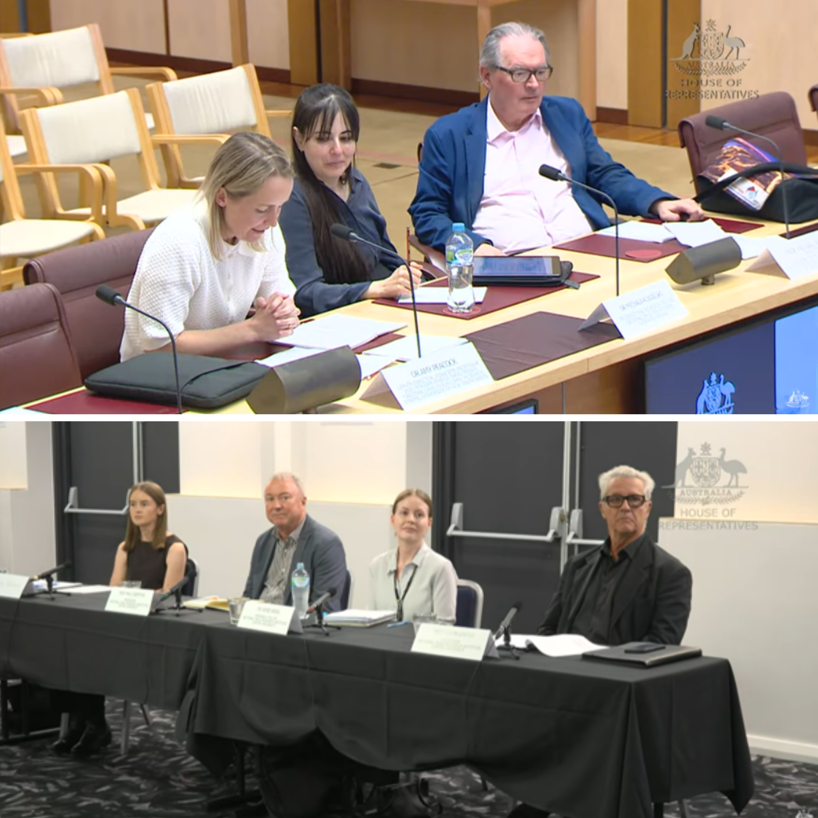 NDARC and NDRI researchers at parliamentary inquiry